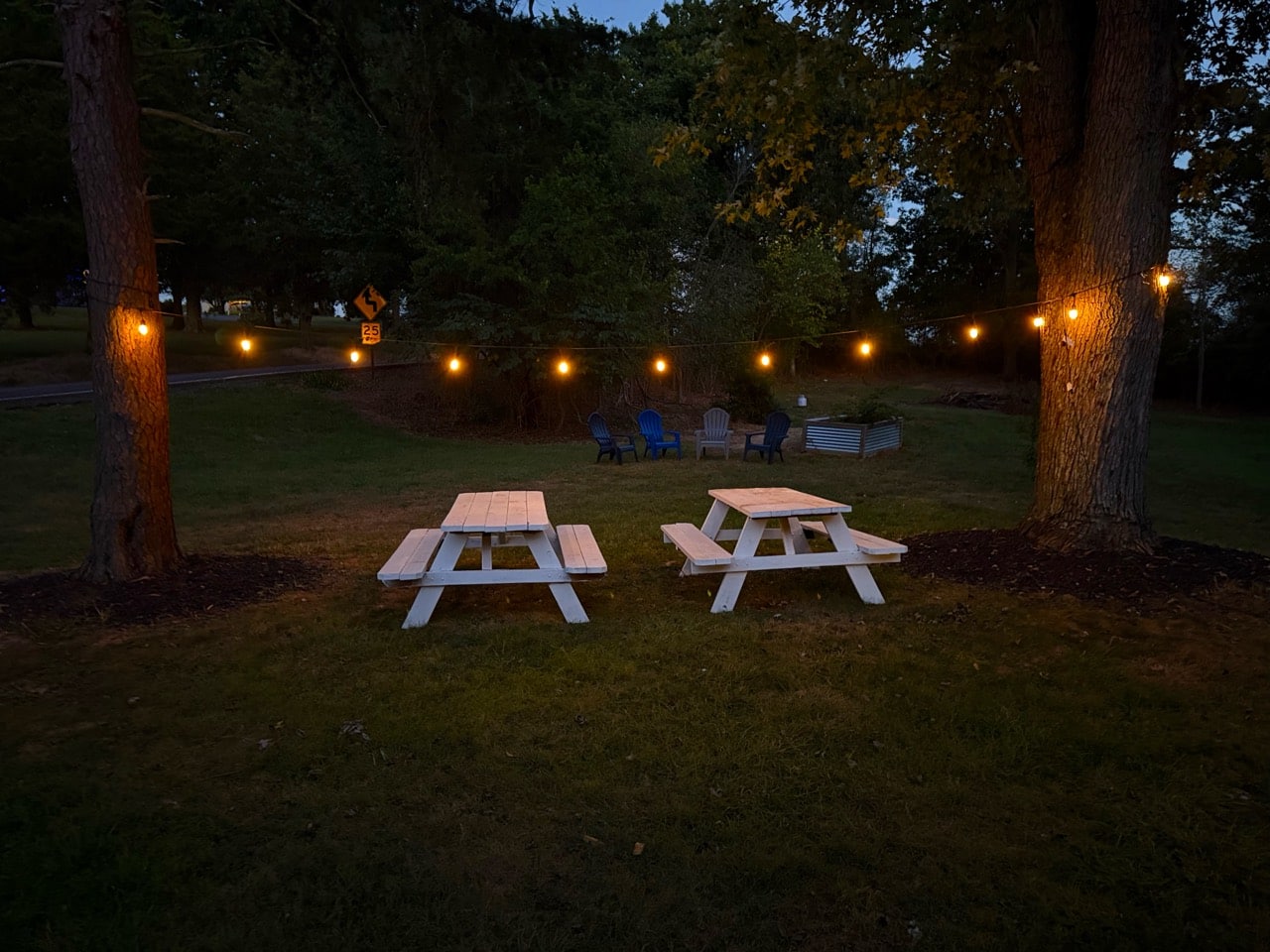 Picnic tables and chairs beneath string lights at the Shed’s event location