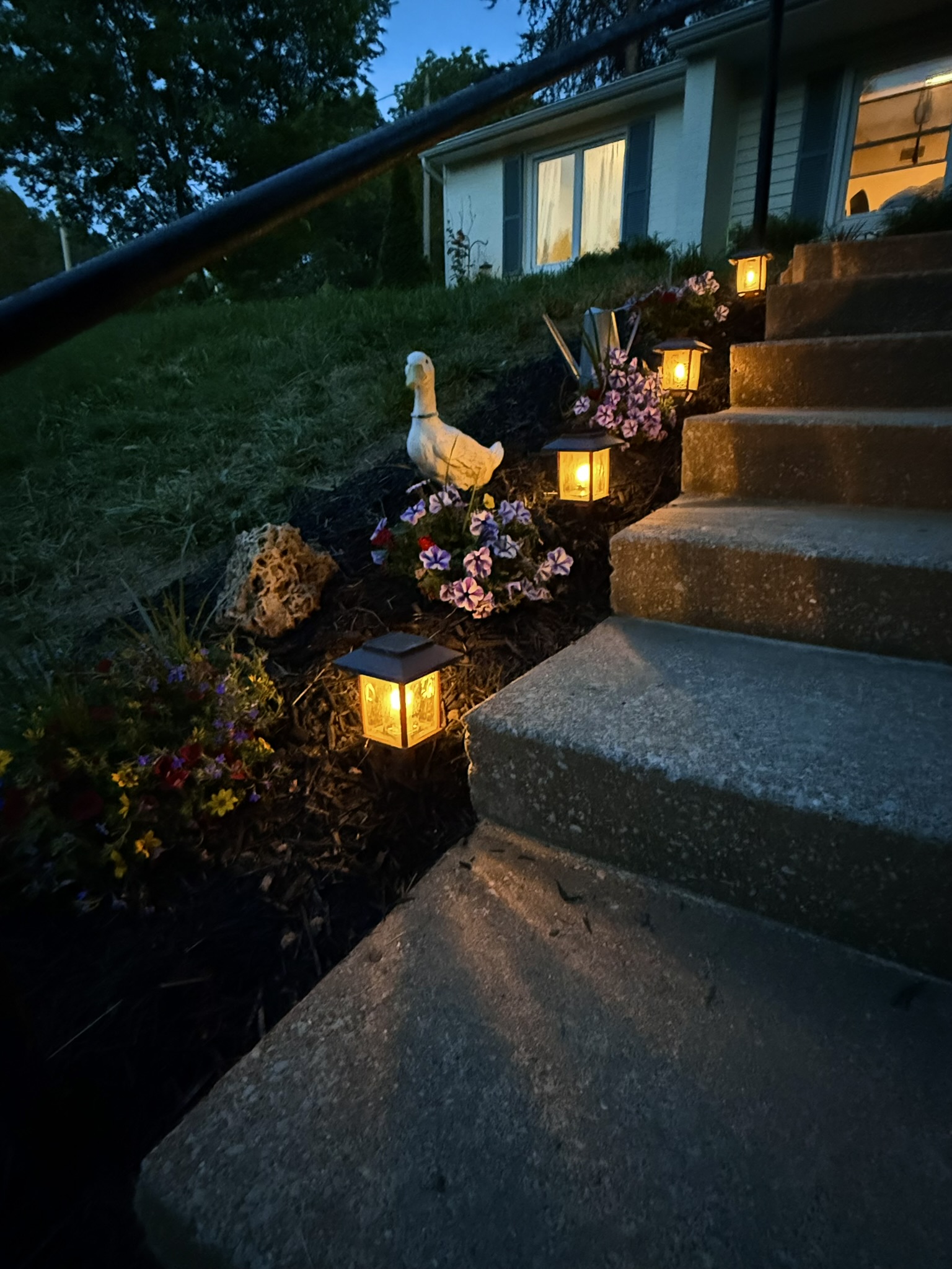Warm path lights illuminating the flowers and steps at dusk