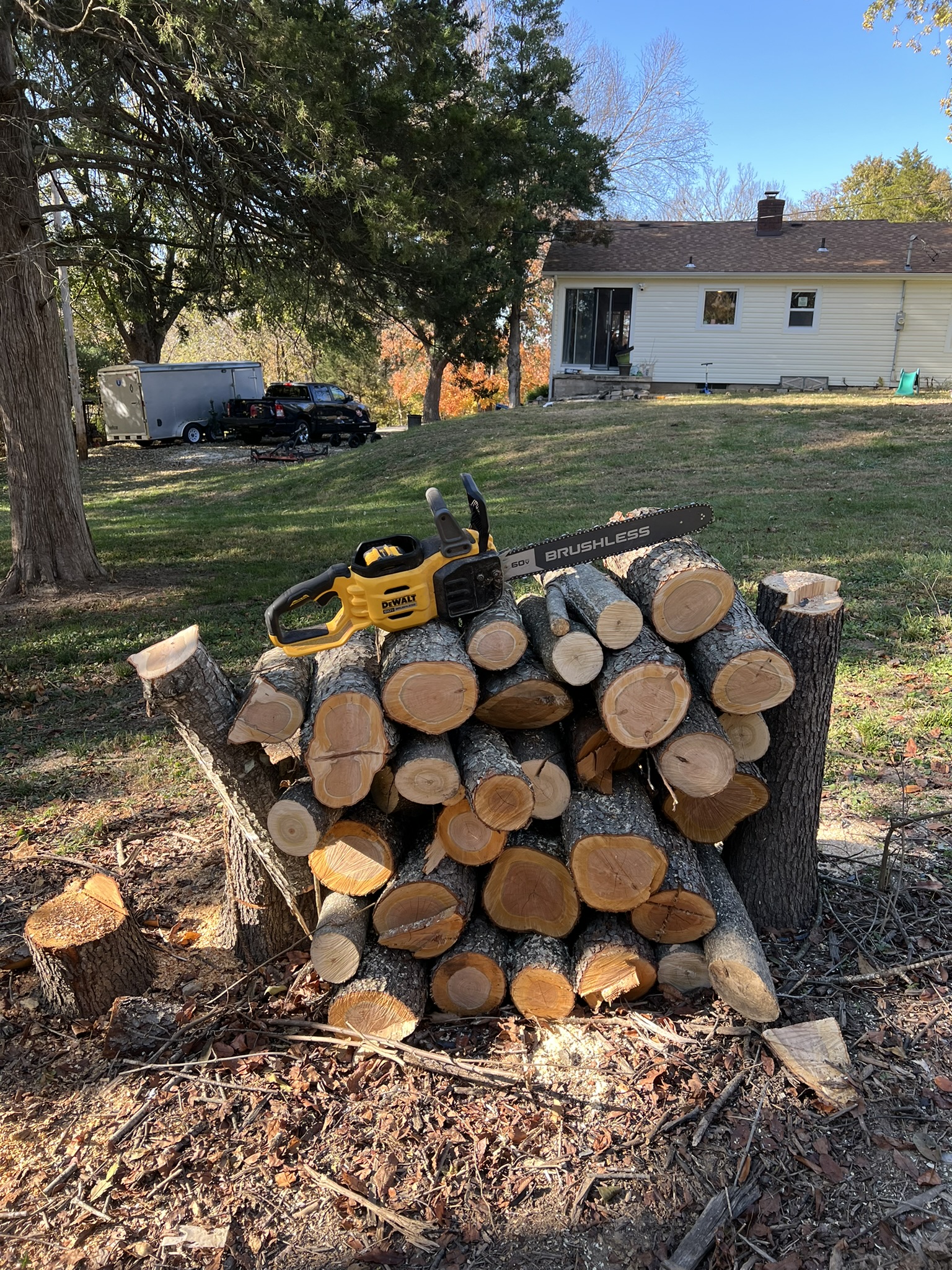 Cut logs stacked in a yard with a chainsaw resting on top